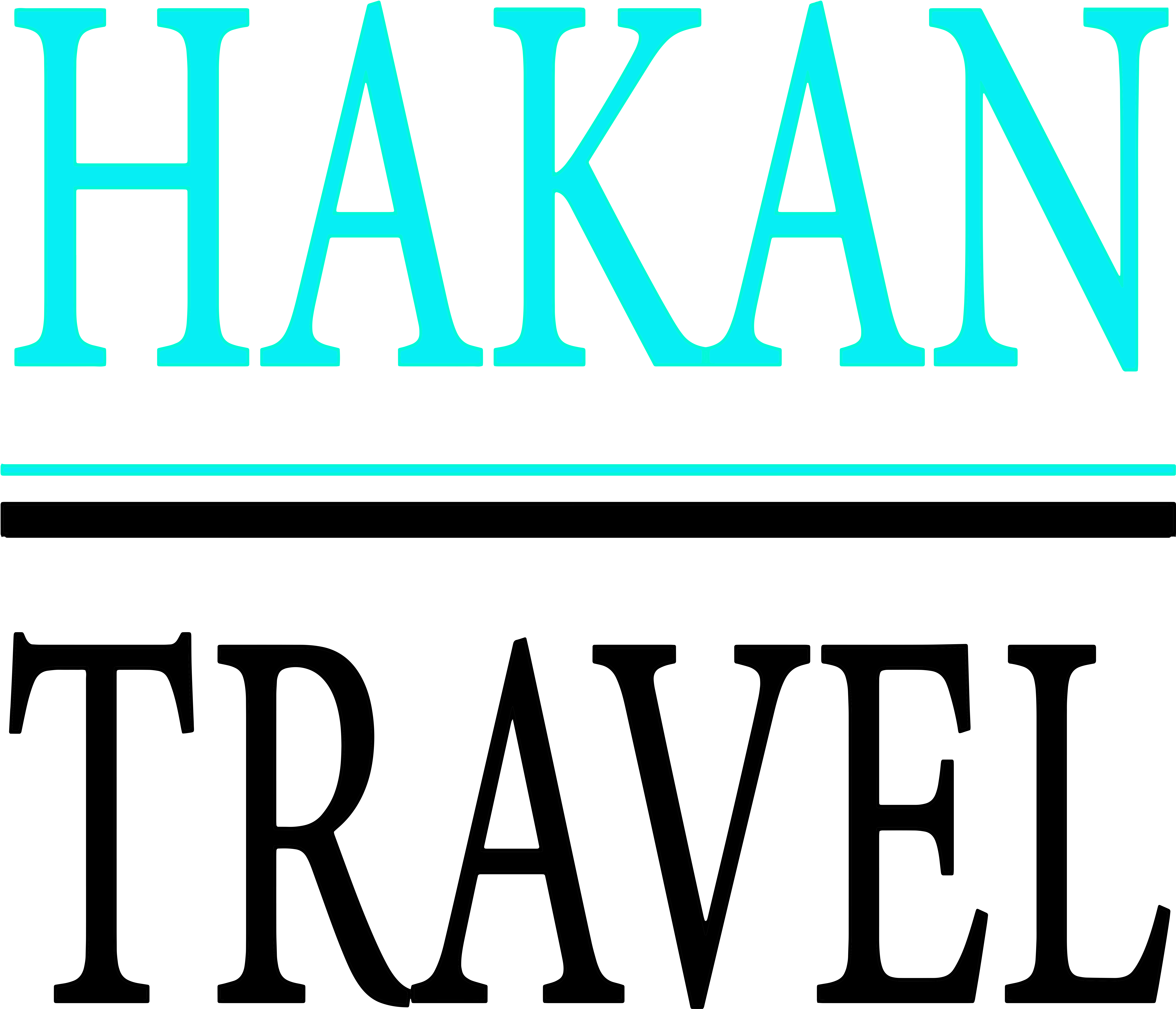 HAKAN TRAVEL SERVICE